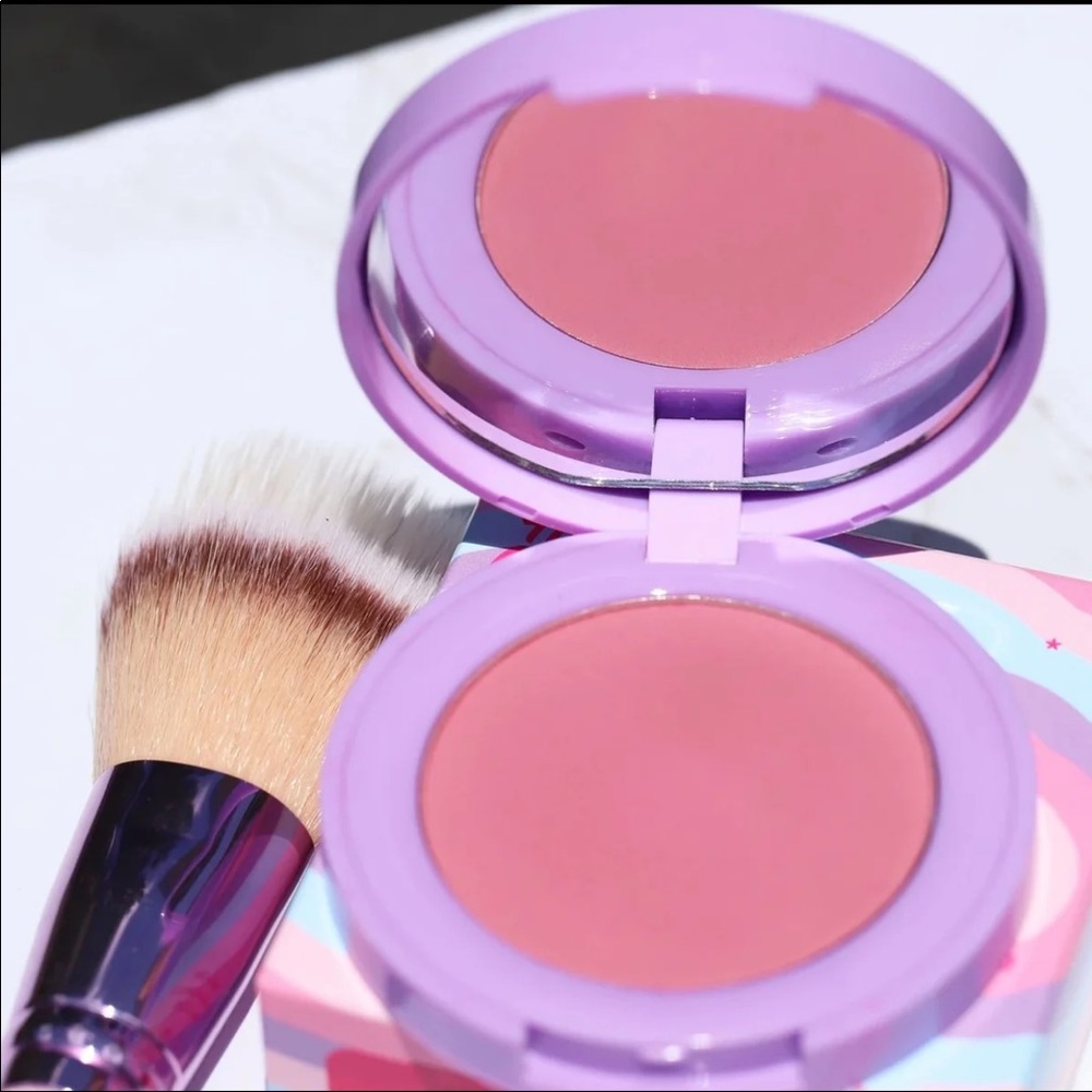 Blush and brush duo
